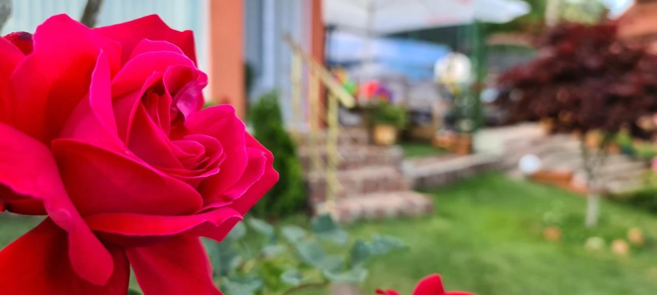 Infinity Varna Sky Hotel Екстериор снимка